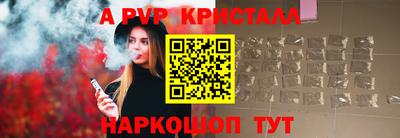 СК Моздок
