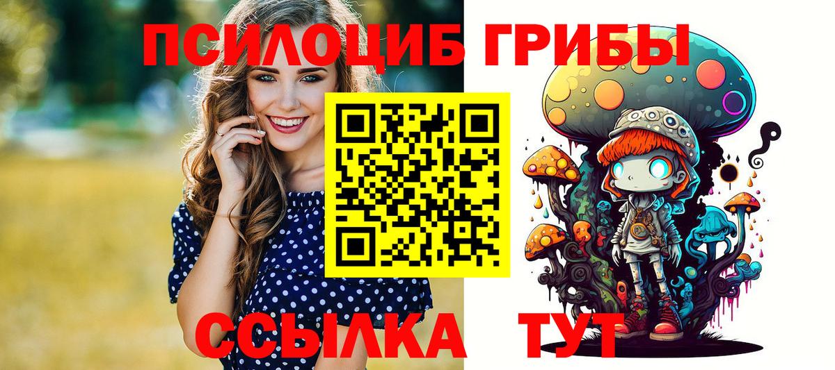 Великий Устюг  Галлюциногенные грибы прущие грибы  Вход с VPN 